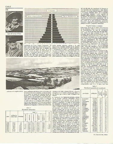 LAMINA LAROUSSE 70196: Datos de Chile