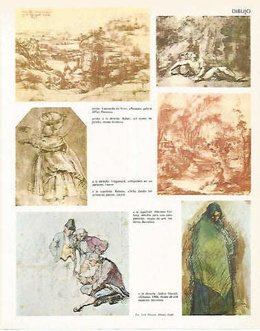LAMINA LAROUSSE 70220: Dibujo: Leonardo da Vinci Rafael Fortuny Nonell Rubens y Fragonard