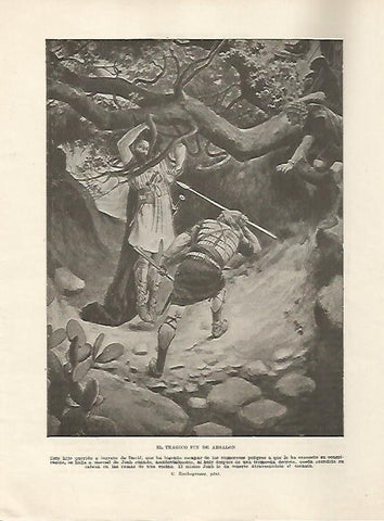 LAMINA 5096: La muerte de Absalon