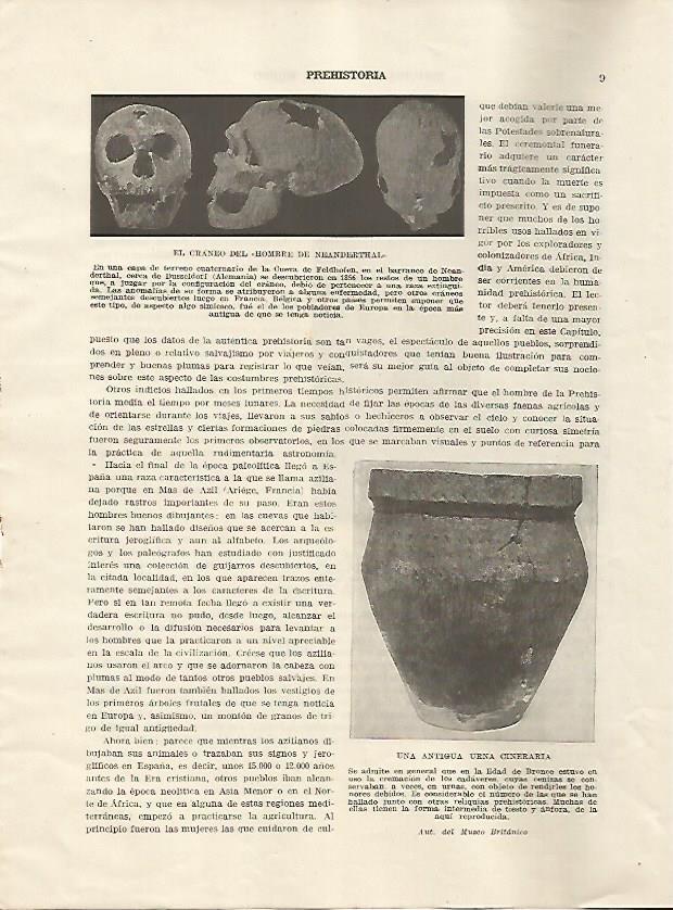 LAMINA 5187: Craneo del neanderthal y urna funeraria