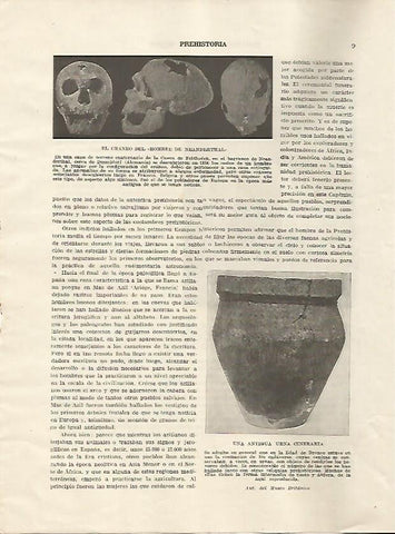 LAMINA 5187: Craneo del neanderthal y urna funeraria