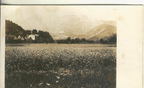 Postal B/N 0274 : Campo en primavera, paisaje desconocido