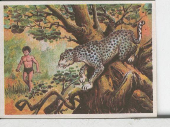 Cromos: Aventuras de Jorge, el Pequeño Tarzan, autor Gigarpe numero 015
