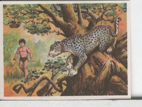 Cromos: Aventuras de Jorge, el Pequeño Tarzan, autor Gigarpe numero 015