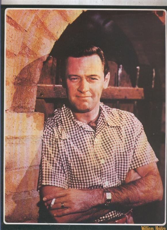 Galeria de estrellas lamina numero 073: William Holden