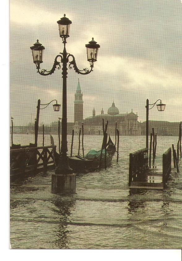 Postal 030884 : Venezia. Moto di S. Marco