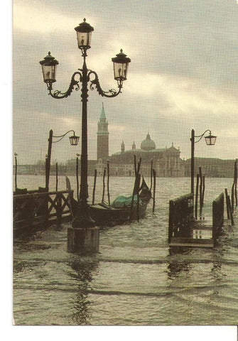 Postal 030884 : Venezia. Moto di S. Marco