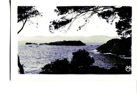 Postal 16443: ST RAPHAEL - Le Lion de Terre