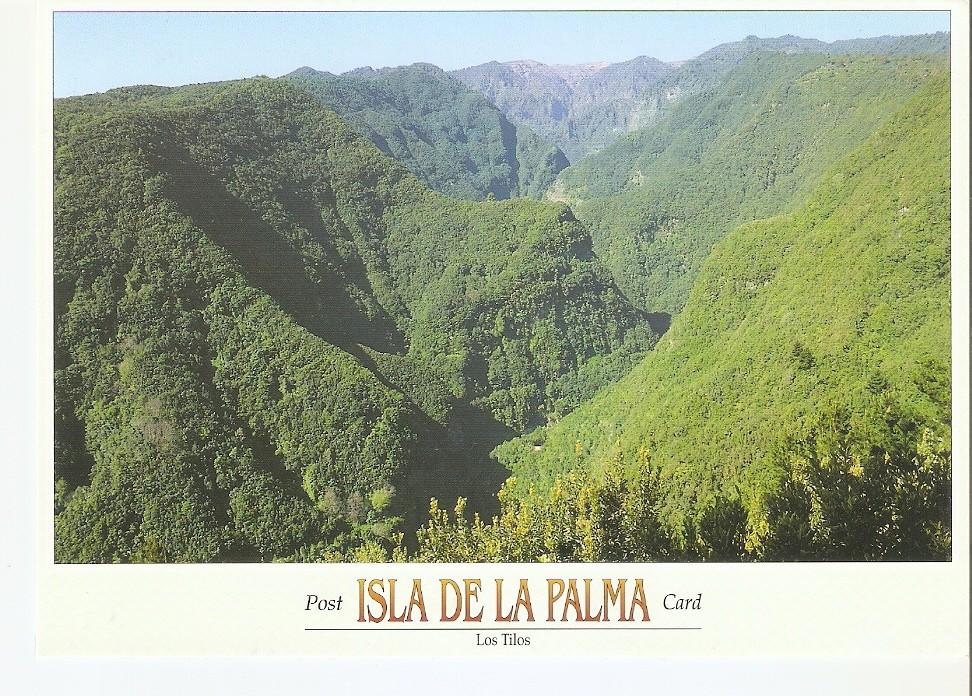 Postal 044186 : Isla de la Palma - Los Tilos. Vista del bosque de los Tilos
