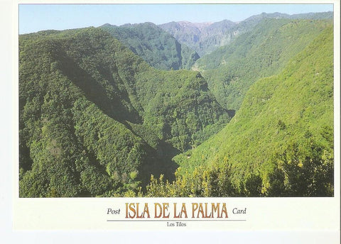 Postal 044186 : Isla de la Palma - Los Tilos. Vista del bosque de los Tilos