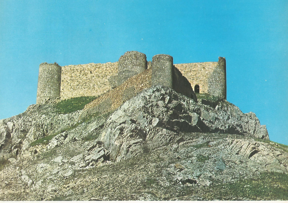 Lamina 0081: Castillo de Aguilar de Campo (Palencia)