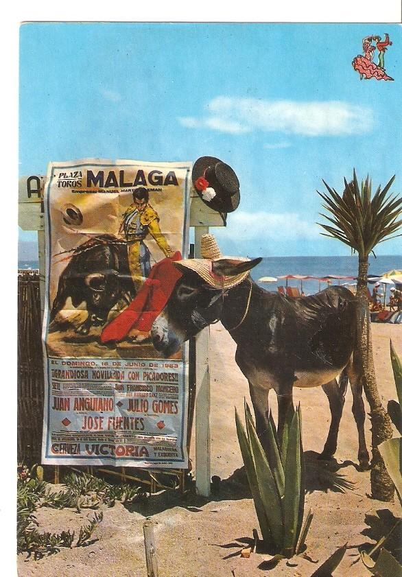 Postal 045773 : Costa del Sol. Playa