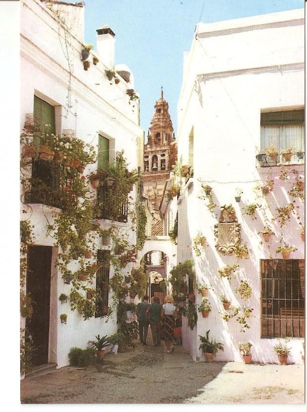 Postal 027537 : Calleja de las flores, Cordoba