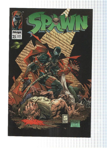 SPAWN, Volumen 1 Numero 25: Protector (World Comics)