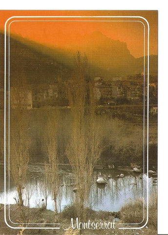 Postal 043785 : Montserrat (Barcelona). Vista parcial
