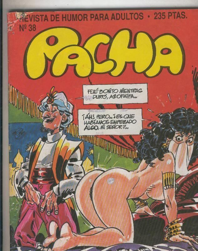 Pacha numero 038: Easy Raider