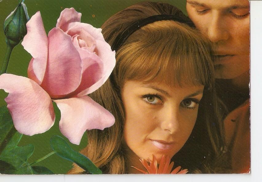 Postal 039856 : Pareja y una rosa