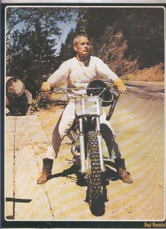 Galeria de estrellas lamina numero 072: Paul Newman
