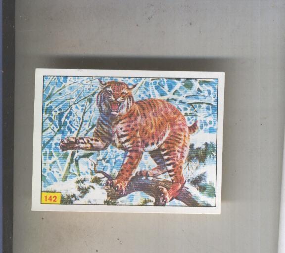 Cromo  Mamiferos de Panini numero 142