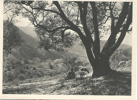 Postal 51677: BOGHINI - Paisaje