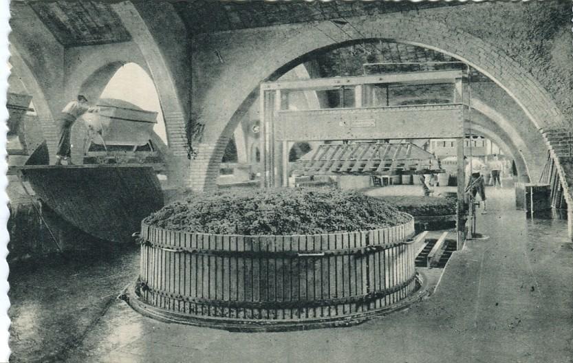 Postal-Postcard 17277: CASA CODORNIU - Sant Sadurni dAnoia Una de las prensas