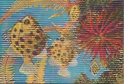 POSTAL 52848: PECES