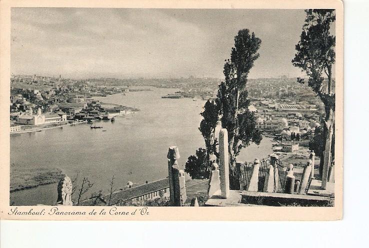 Postal 022346 : Stamboul: Panorama de la Carde dOr