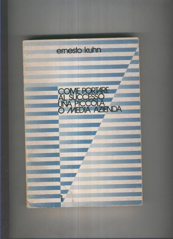 Come portare al successo una piccola o media azienda