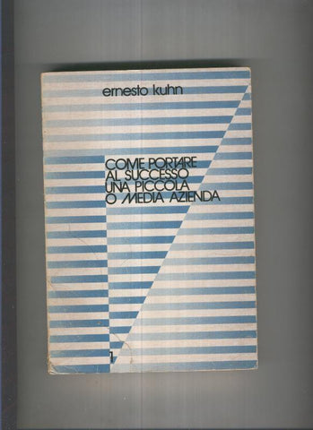 Come portare al successo una piccola o media azienda
