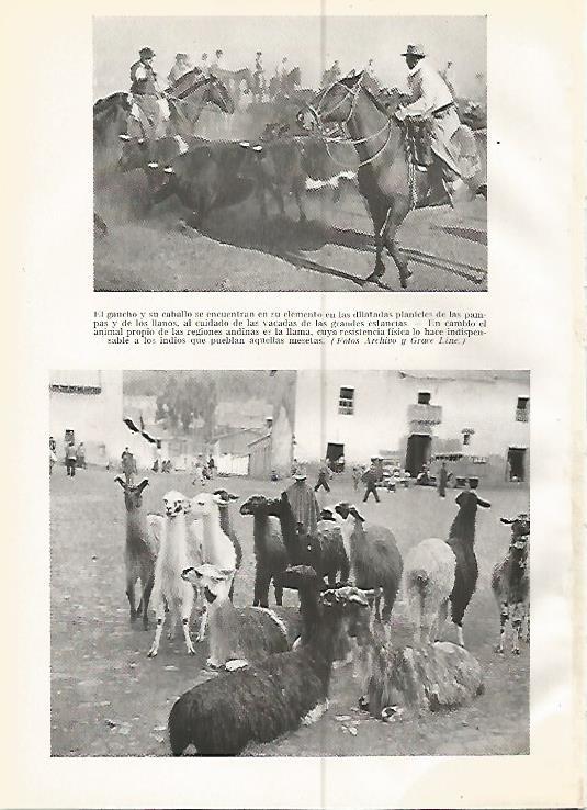 LAMINA GEOGRAFIA 0234: Gauchos argentinos y llamas