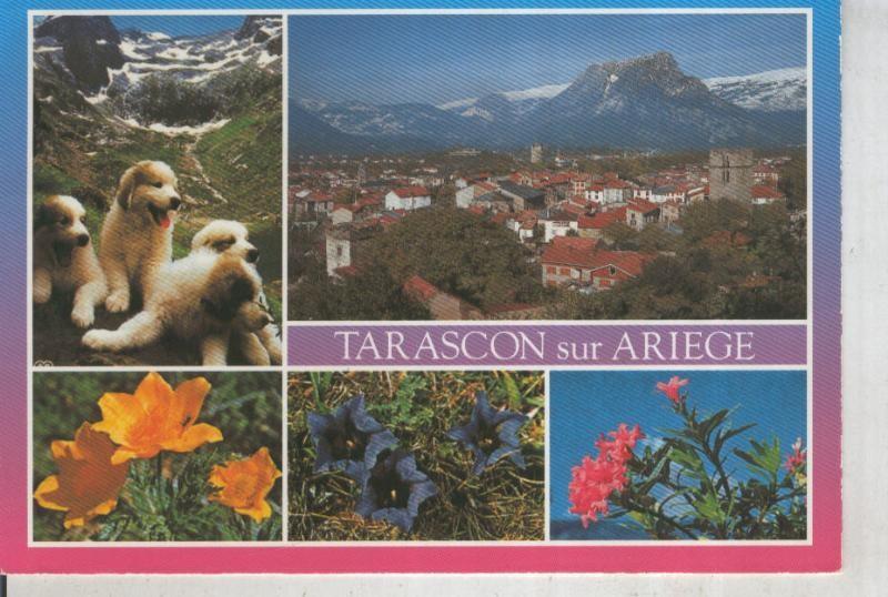 Postal 012251: Tarascon sur Ariege
