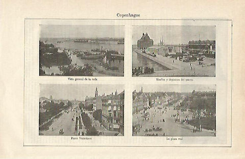 LAMINA ESPASA 14898: Vistas de Copenhague