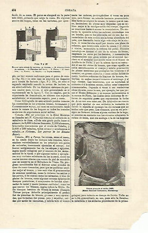 LAMINA ESPASA 14921: Coraza grabada al acido de 1607