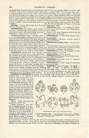 LAMINA ESPASA 14938: Filigranas de papel con el cordero pascual