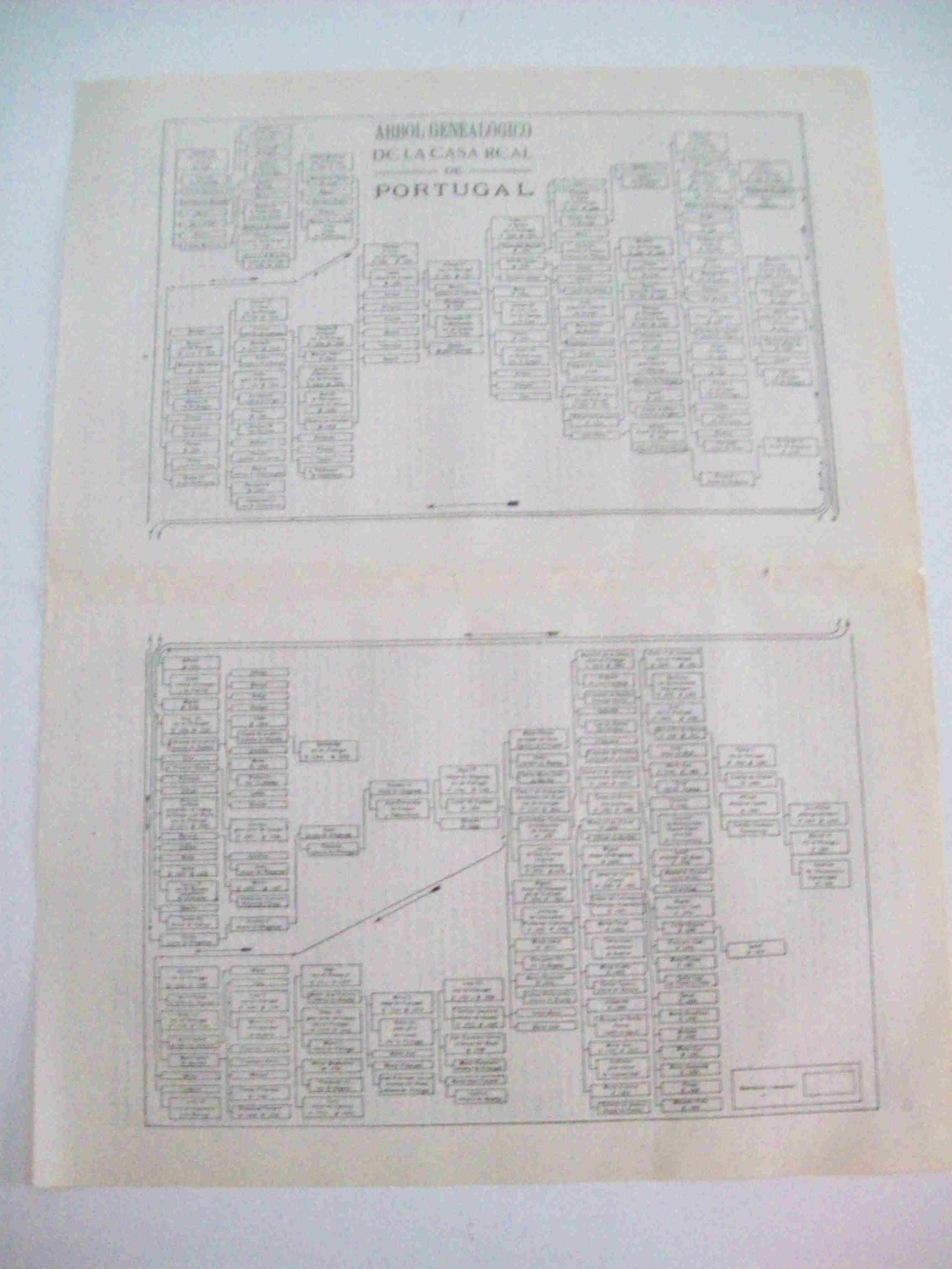 LAMINA ESPASA 15327: Arbol genealogico de la casa real de Portugal