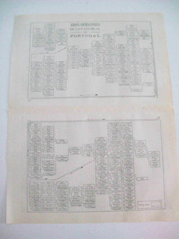LAMINA ESPASA 15327: Arbol genealogico de la casa real de Portugal
