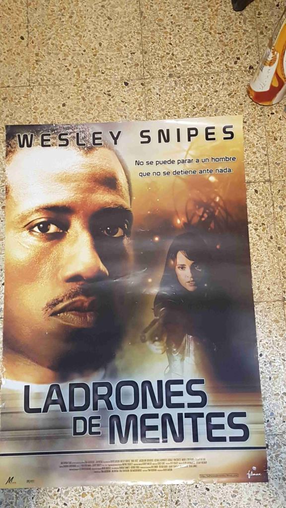 Poster cine: Ladrones de mentes