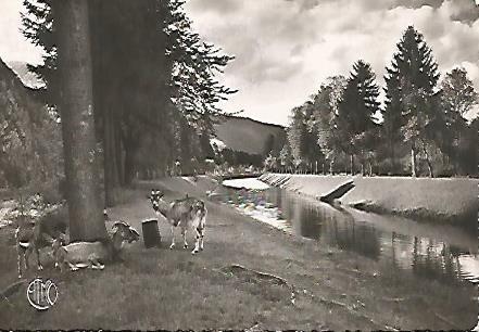 POSTAL 17624: LAIFOUR. EL CANAL