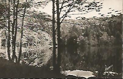 POSTAL 17764: LES VOSGES