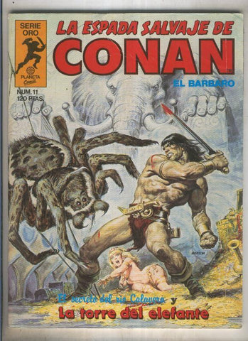 La espada salvaje de conan volumen 1 numero 011