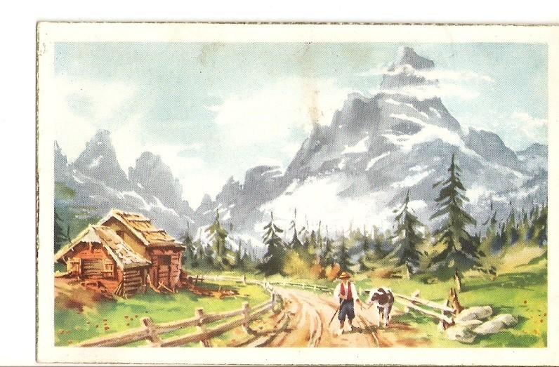 Postal 025291 : Paisaje bosque