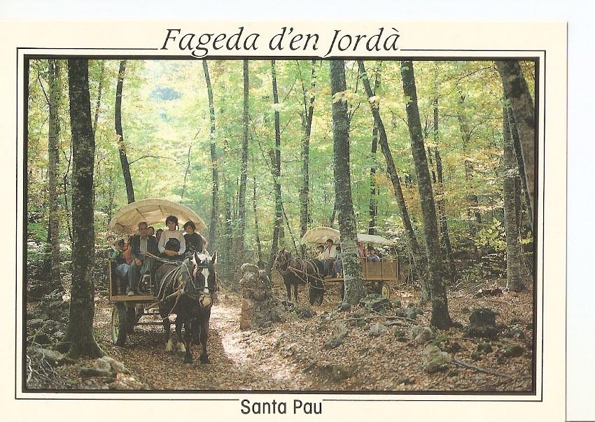 Postal 040492 : Santa Pau (Girona). Zona Volcanica de la Garrotxa. Carruages en el interior de la Fageda (hayal)