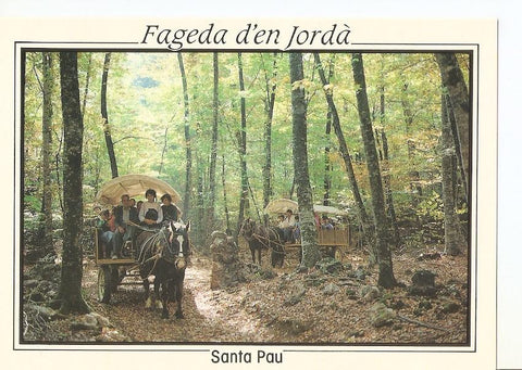 Postal 040492 : Santa Pau (Girona). Zona Volcanica de la Garrotxa. Carruages en el interior de la Fageda (hayal)
