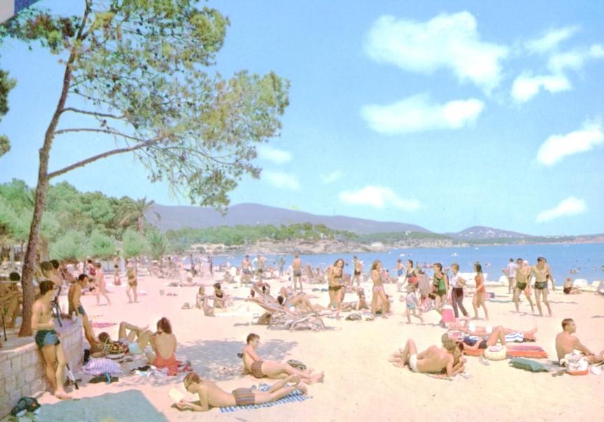 Postal 016724: MALLORCA - Vista de Playa de Palma Nova