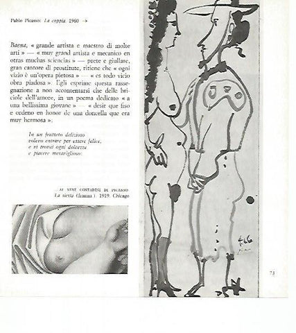 LAMINA 1717: PICASSO. La pareja
