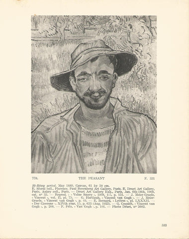 LAMINA 1466: VAN GOGH. The Peasant