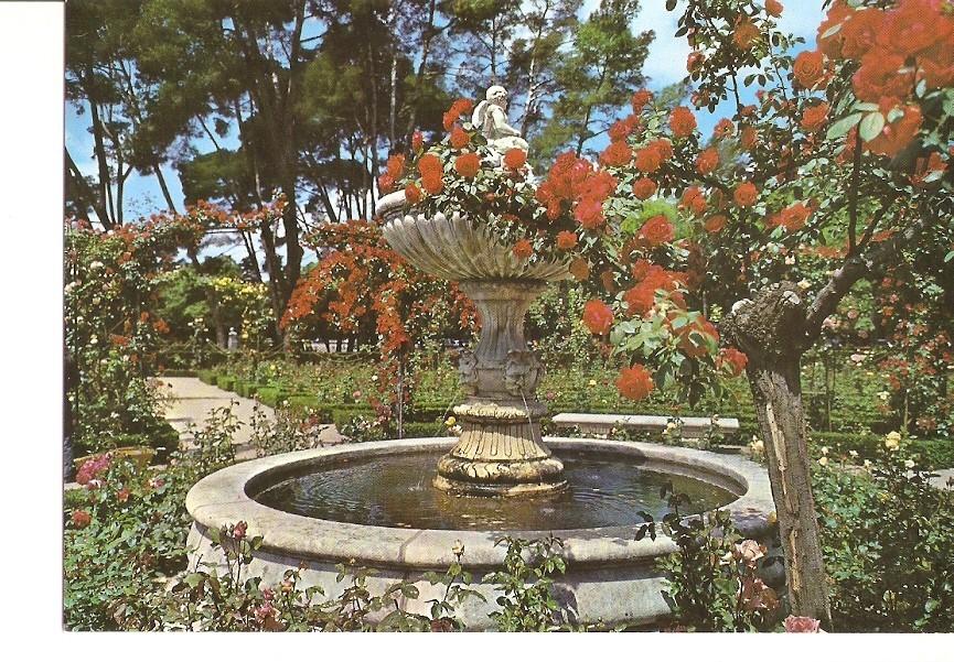 Postal 028313 : Madrid. Rosaleda del Retiro