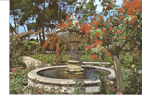 Postal 028313 : Madrid. Rosaleda del Retiro