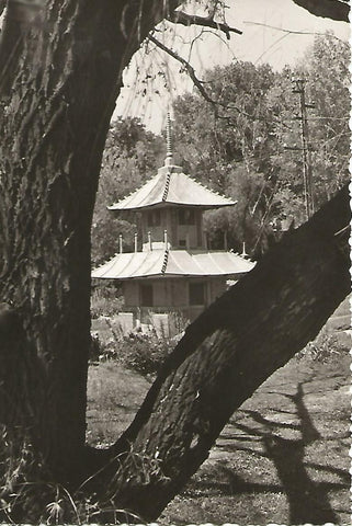Postal 51576: SZENTES - Jardines Japoneses