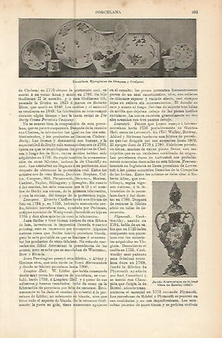 LAMINA ESPASA 10529: Porcelana de Swansea